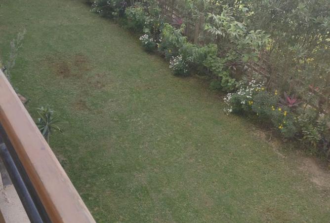 94921924 - Property Image 3