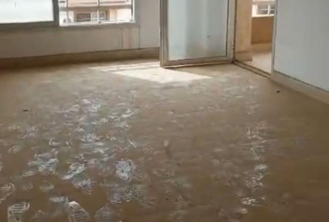 8522163 - صورة العقار 3