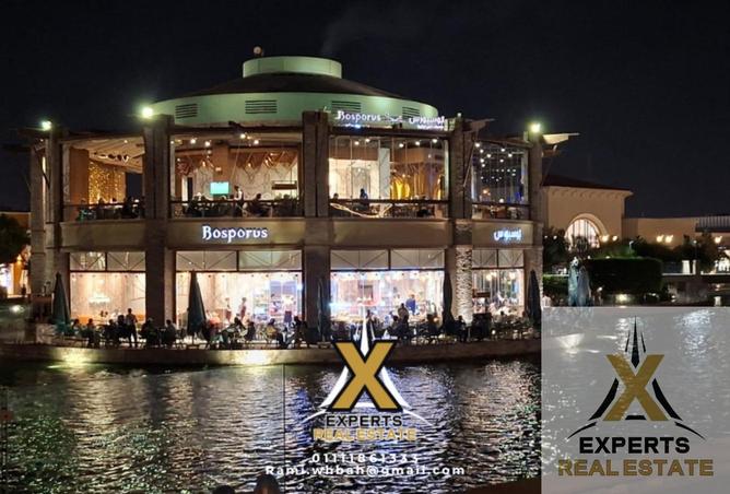 56253320 - Property Main Image