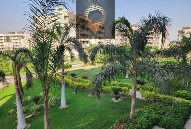 92690193 - صورة العقار 3