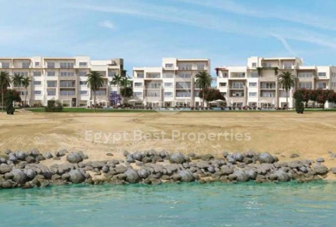 66426972 - Property Image 3