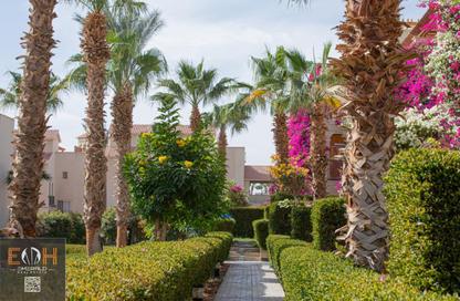 Apartment - Studio - 1 for sale in Veranda - Sahl Hasheesh - Hurghada - Red Sea