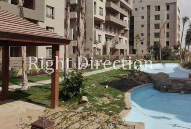 56259642 - Property Image 3