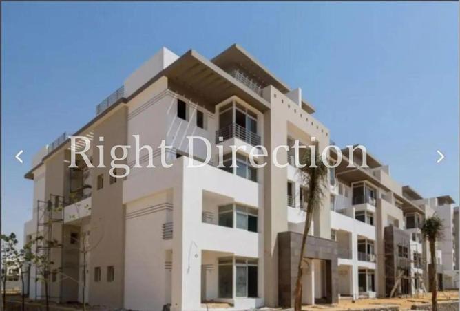 98837169 - Property Image 3