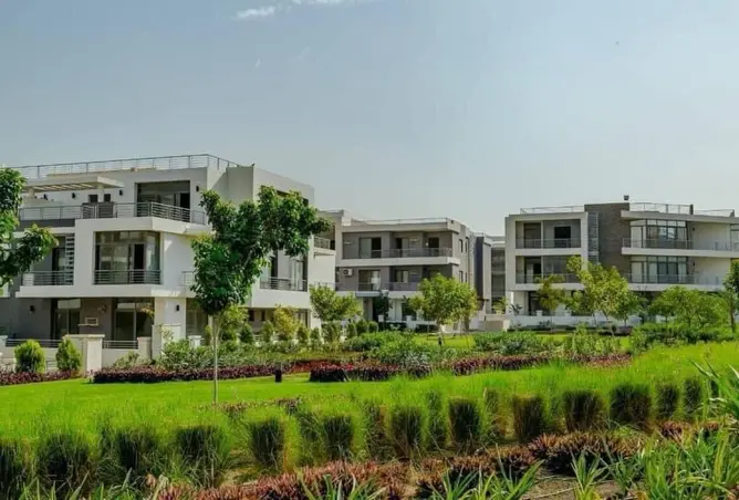 106856087 - Property Image 3