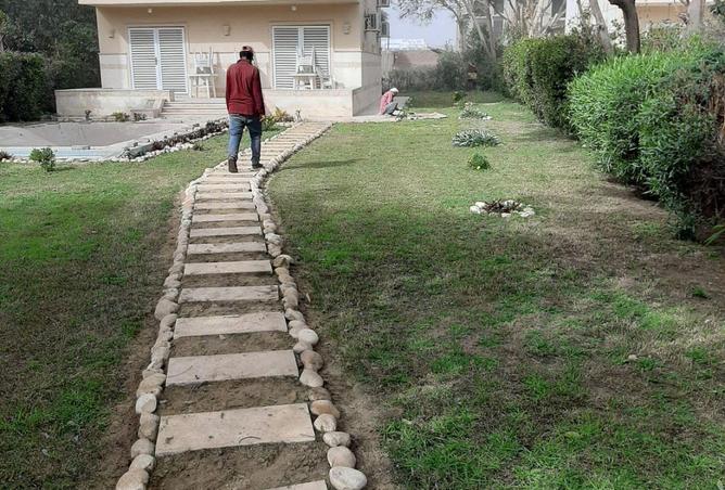 61687962 - صورة العقار 3