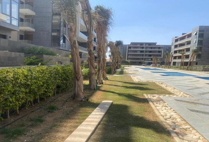 8397486 - Property Image 3