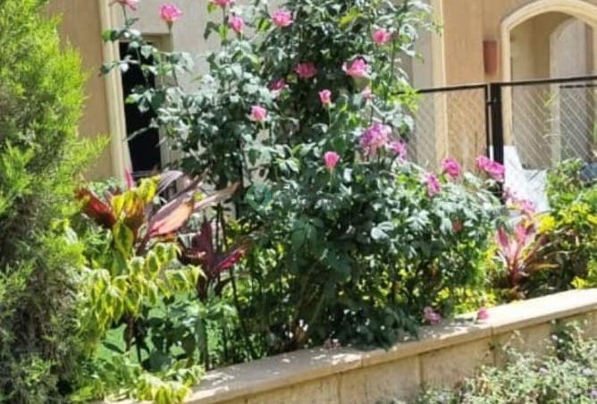 2Oly495G796 - صورة العقار 2