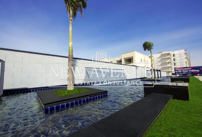 56251235 - Property Image 3