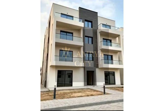 54242282 - صورة العقار 3