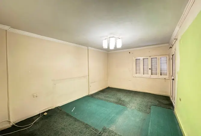 116743624 - Property Image 3