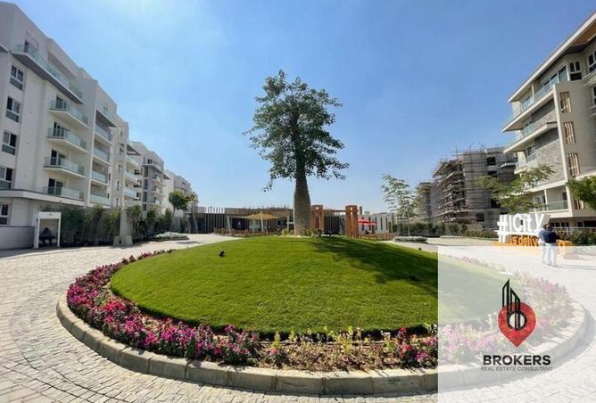 54239246 - Property Image 3