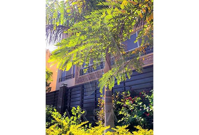 8659217 - Property Image 3