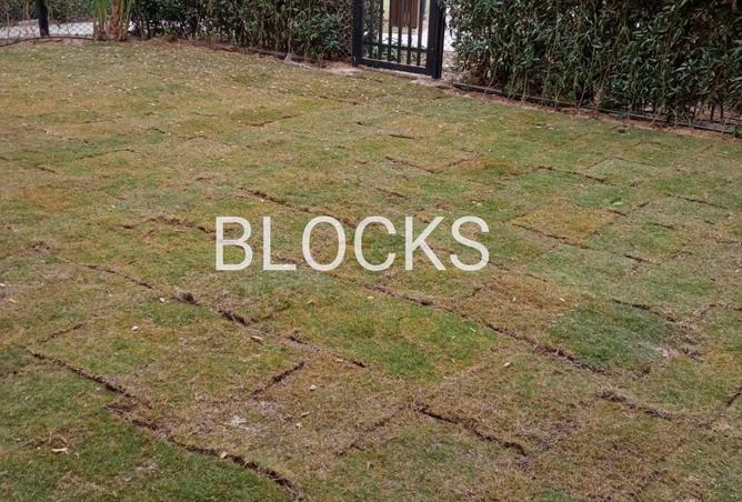 55500005 - صورة العقار 2