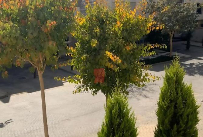 70626912 - Property Image 2