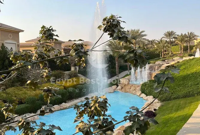 113826971 - صورة العقار 3