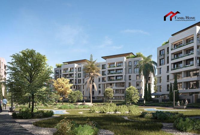 65415906 - Property Image 2