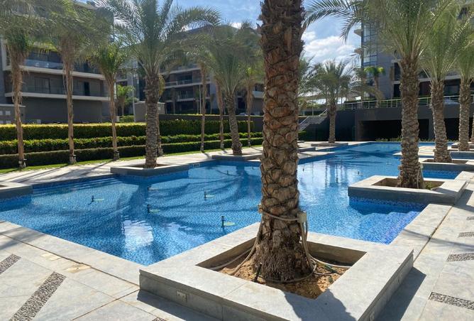 8511051 - Property Image 3