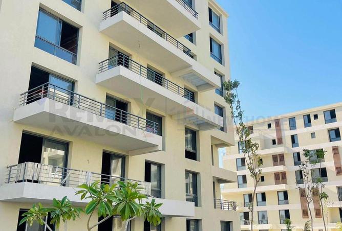 57491265 - Property Image 2