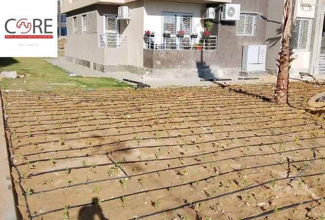 69575956 - صورة العقار 2