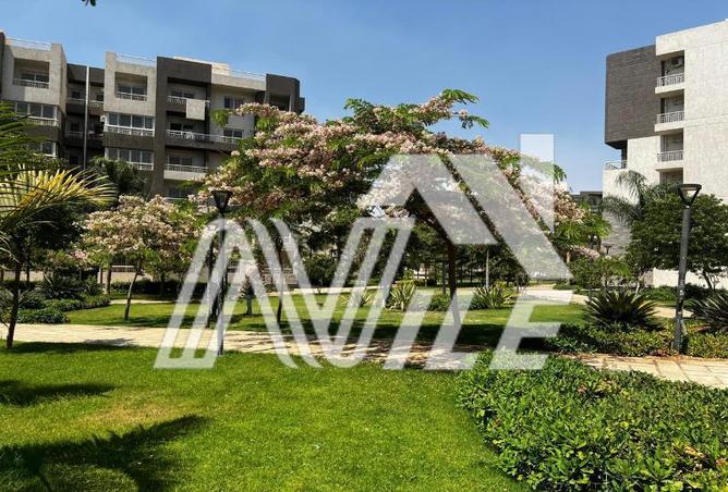 65914945 - Property Image 2