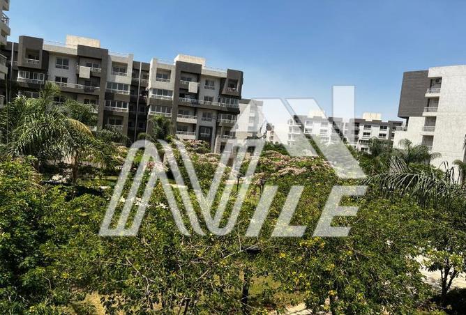 65914945 - Property Image 3