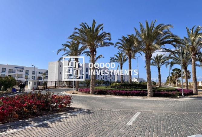 8480953 - Property Image 2