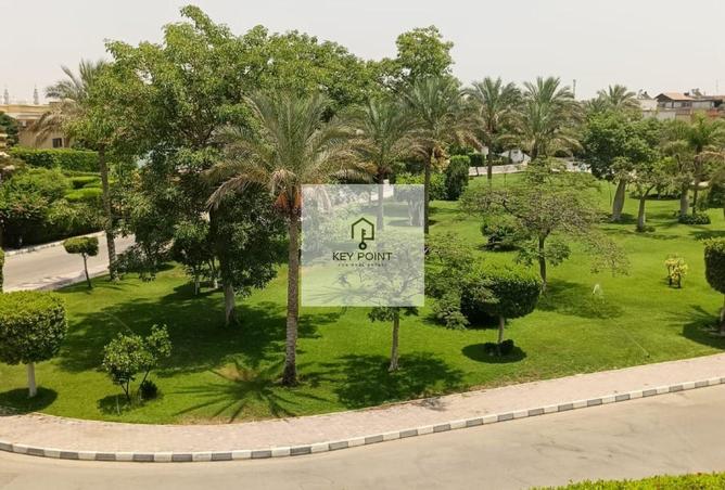 97714144 - صورة العقار 3