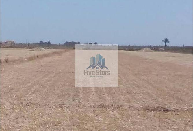 64650507 - Property Main Image