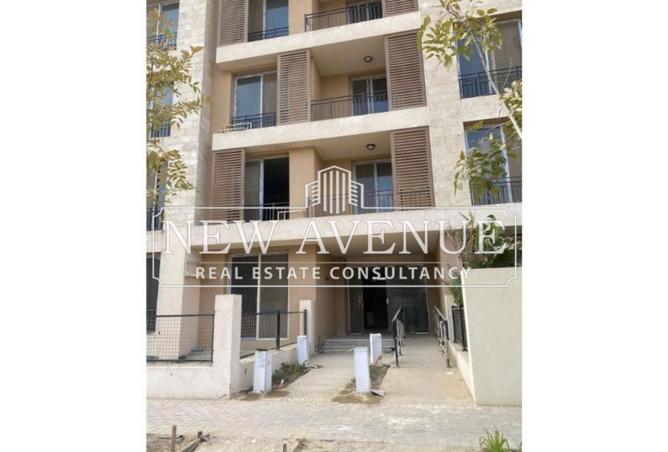 58242658 - Property Image 3