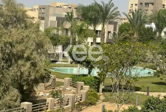 118546061 - صورة العقار 3