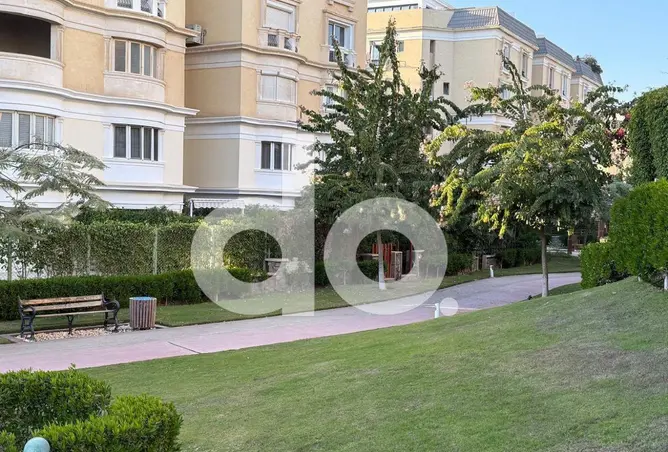 117523075 - Property Image 2