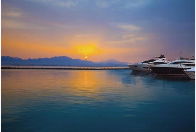 63143115 - Property Image 3