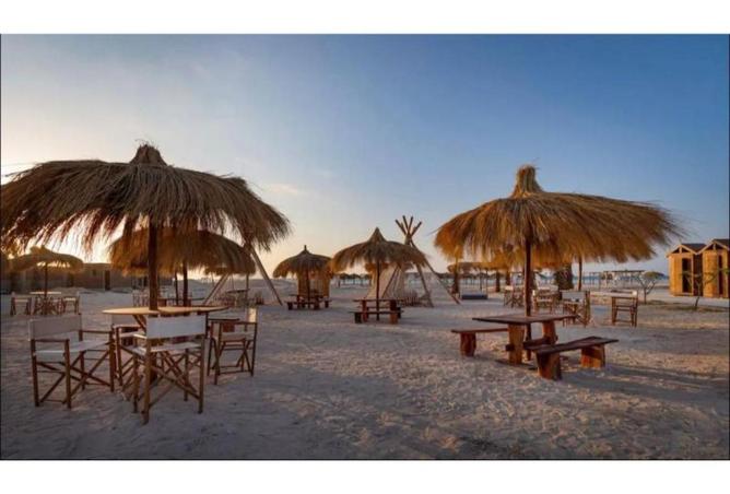 54758393 - صورة العقار 2