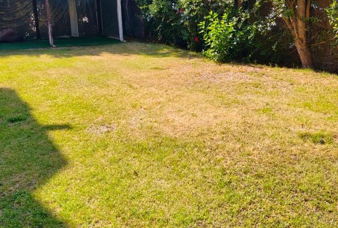 69308561 - Property Image 2