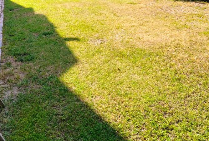 69308561 - Property Main Image