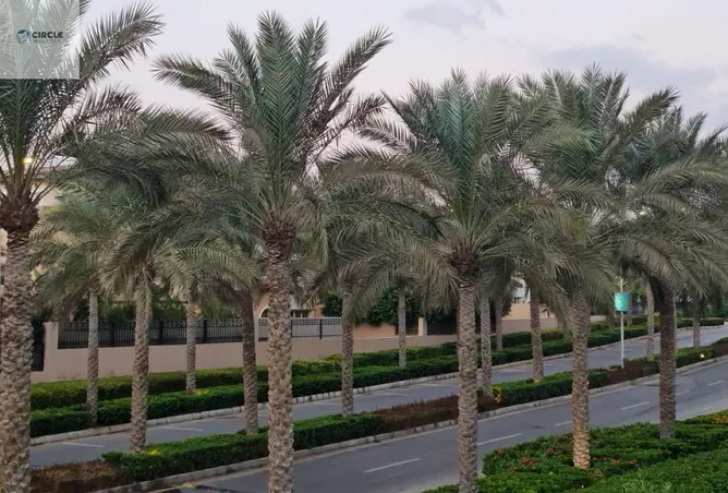 111602912 - صورة العقار 3