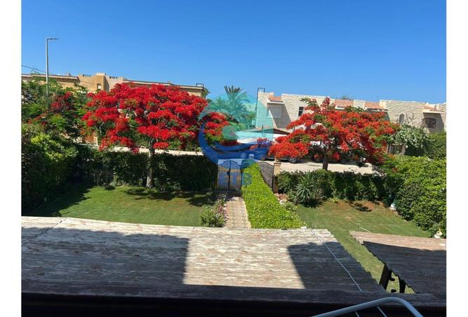 67480332 - الصورة الرئيسية للعقار