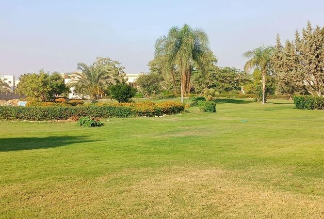 8629934 - صورة العقار 3