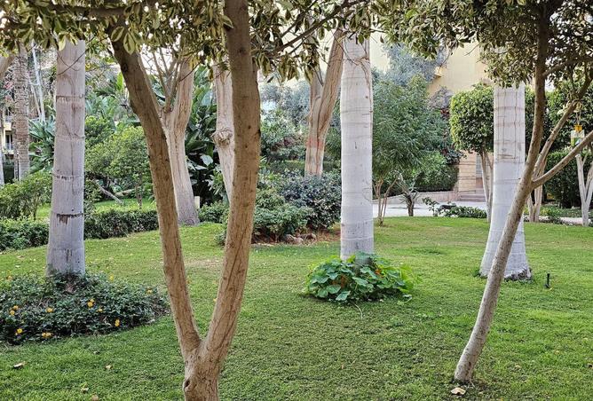 87207129 - الصورة الرئيسية للعقار