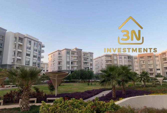 107403264 - Property Image 3