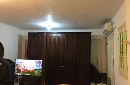 Roof - 2 Bedrooms - 2 Bathrooms for sale in Mosadak St. - Dokki - Giza Roof - 2 Bedrooms - 2 Bathrooms for sale in Mosadak St. - Dokki - Giza