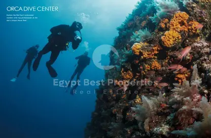 Chalet - 2 Bedrooms - 2 Bathrooms for sale in Mesca - Soma Bay - Safaga - Hurghada - Red Sea