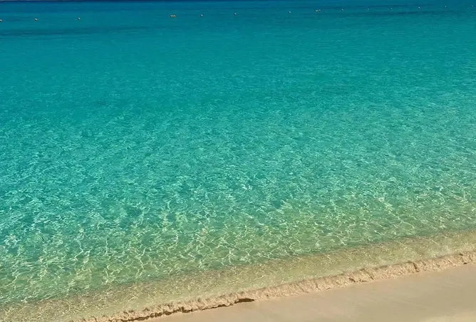 111586526 - صورة العقار 2