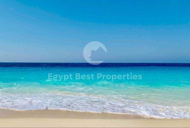 103481886 - صورة العقار 3