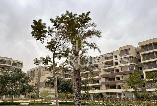 57998927 - صورة العقار 3