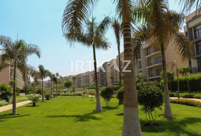 59247966 - Property Image 3