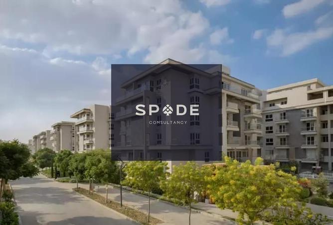 8412338 - Property Image 3