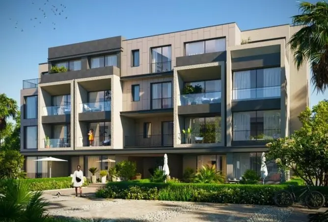 117542348 - Property Image 3