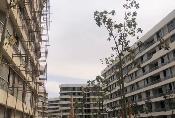 58995019 - Property Image 2